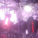 Japan Lucent Kit.webp