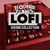 Boonie Tunes - Lofi Sound Collection 10
