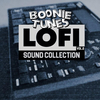 Boonie Tunes - Lofi Sound Collection 2
