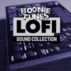 Boonie Tunes - Lofi Sound Collection 5