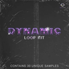 YBH Beats & Wave808 - Dynamic Loop Kit